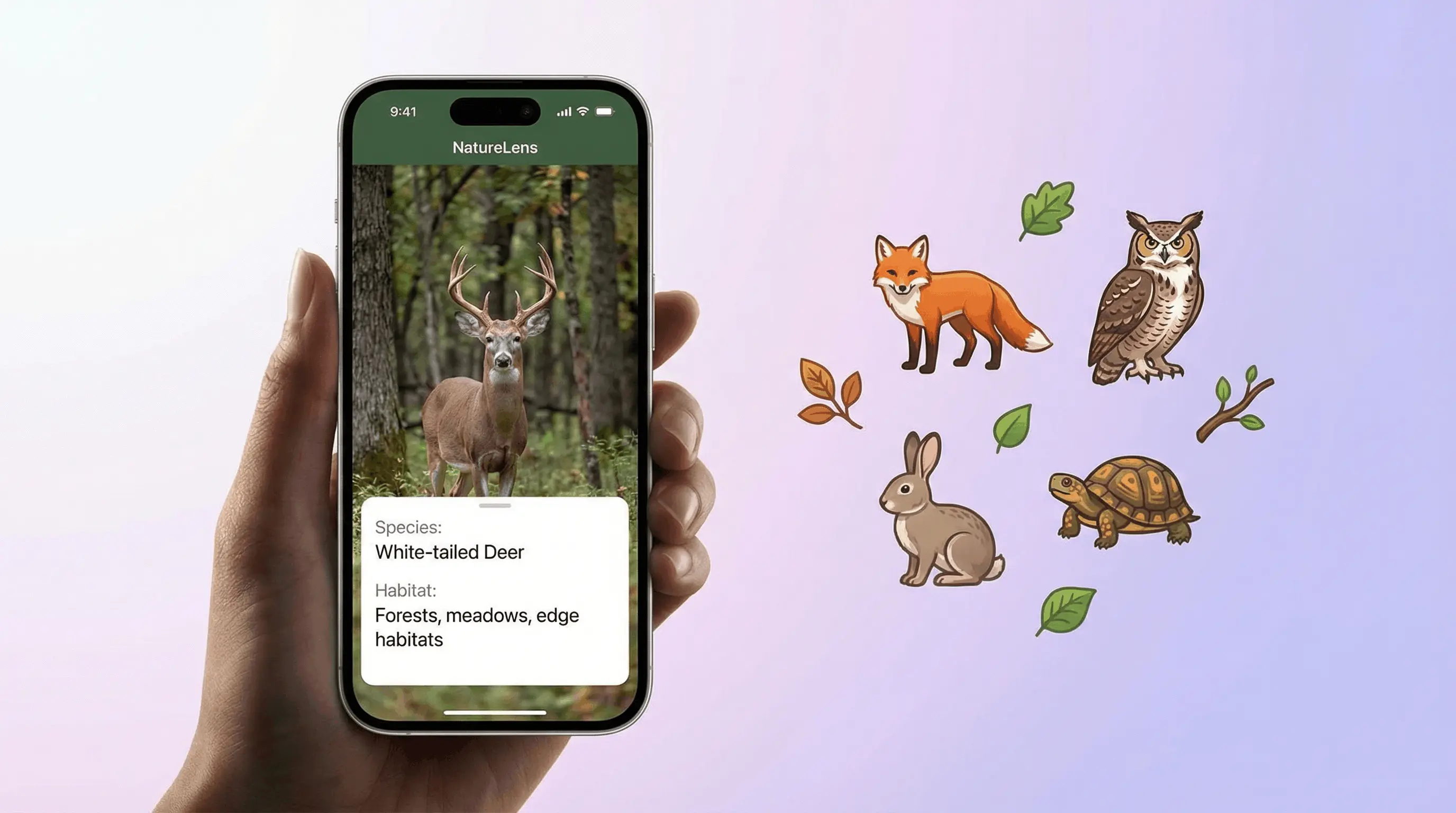 AI animal identifier app on iPhone recognizing a wild animal from a photo with species and habitat details