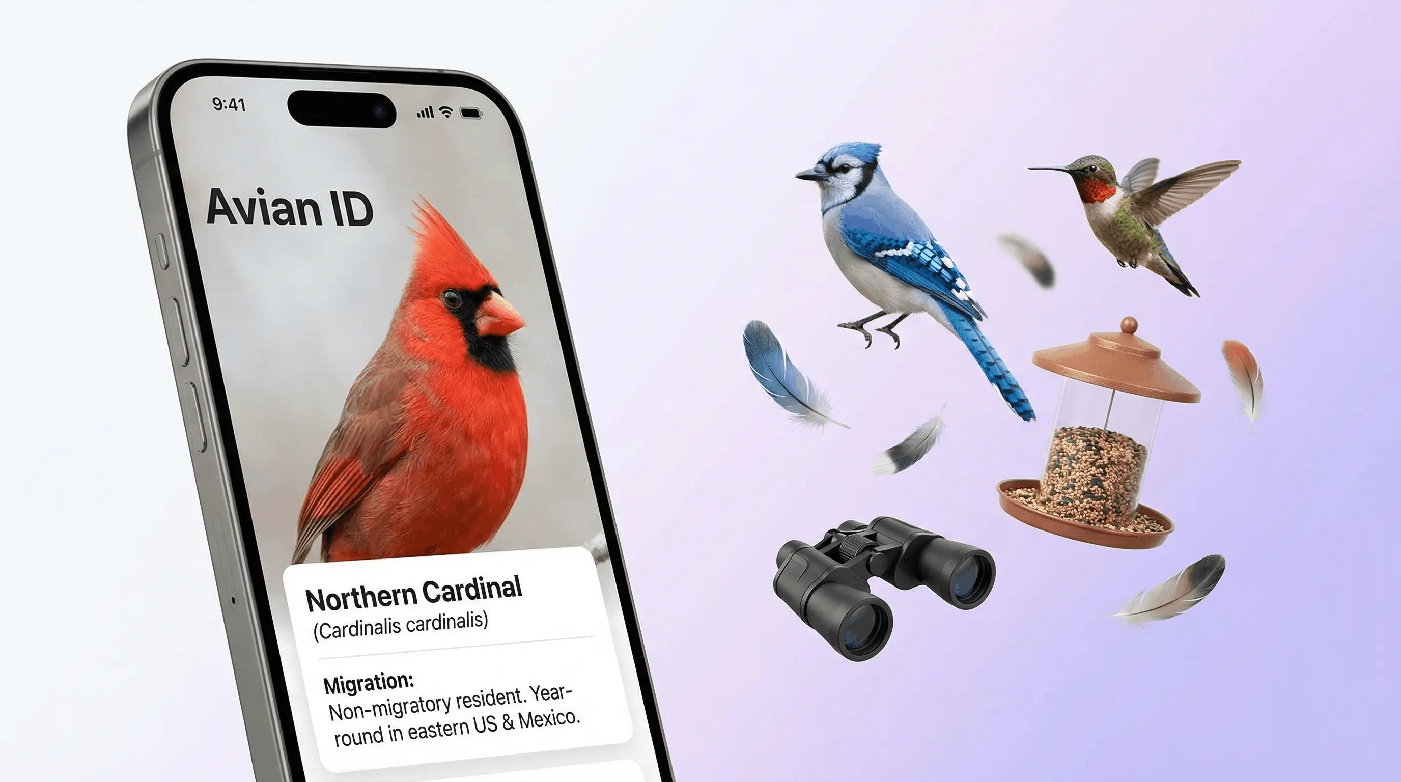 AI bird identifier app on iPhone showing species name, habitat, diet, and migration info from a bird photo