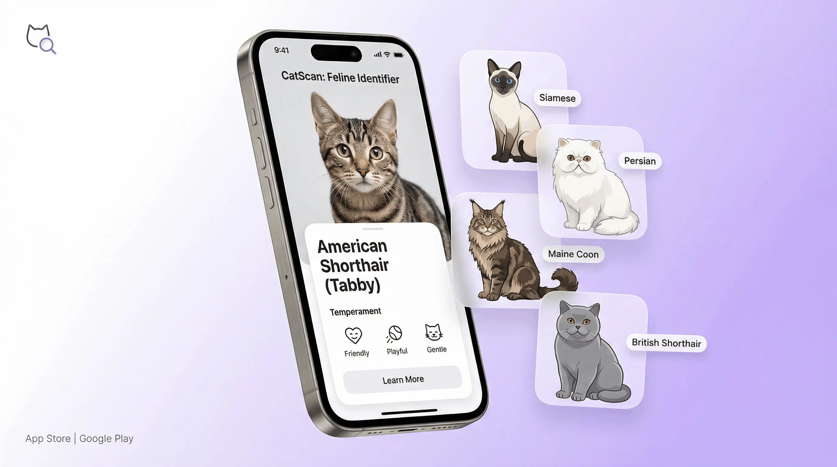 AI cat breed identifier app on iPhone scanning a cat photo and displaying breed, temperament, and care info
