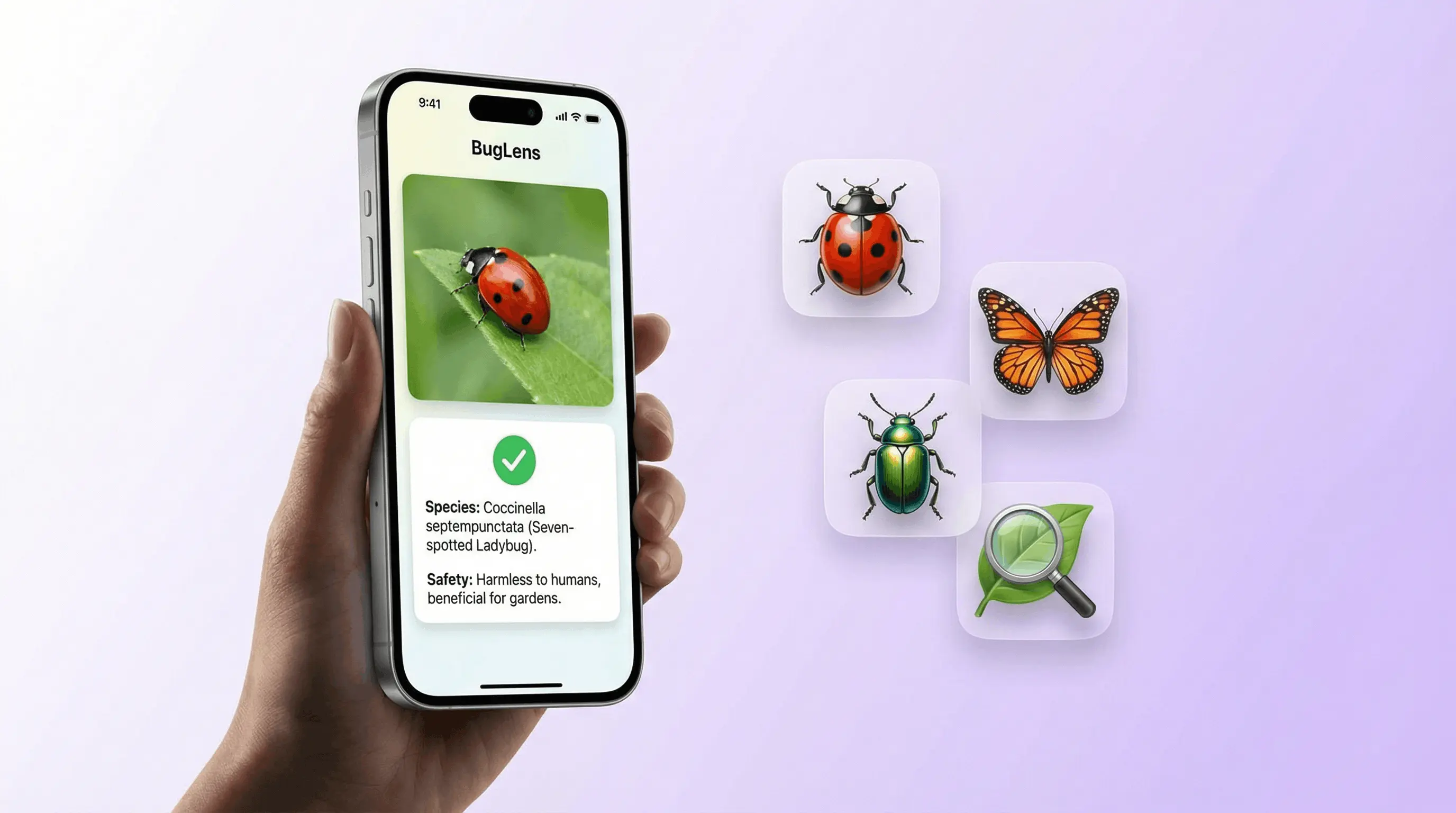 AI bug identifier app on iPhone analyzing an insect photo and returning species name, safety info, and habitat details