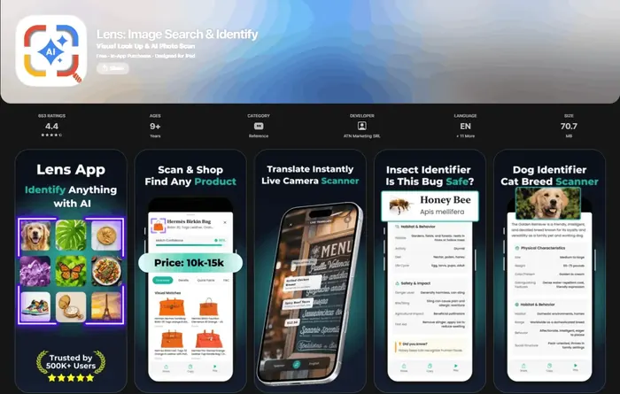Lens App AI image search and identifier on iPhone showing plant, object, and food recognition