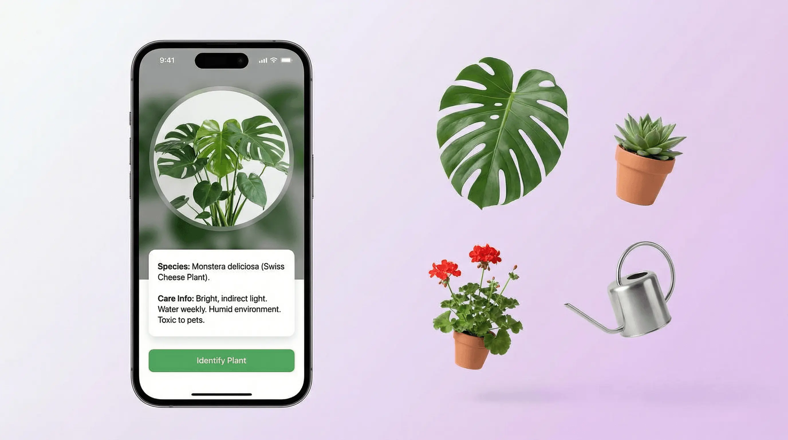 AI plant identifier app on iPhone scanning a houseplant and showing species name, care tips, and watering schedule