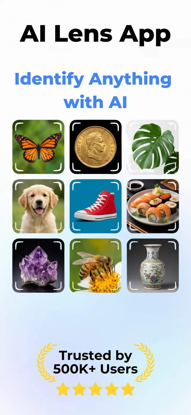 Identify Anything in a Photo