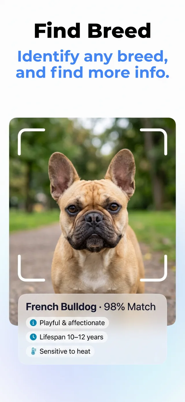 Recognize Plants, Animals, Dogs and Insects