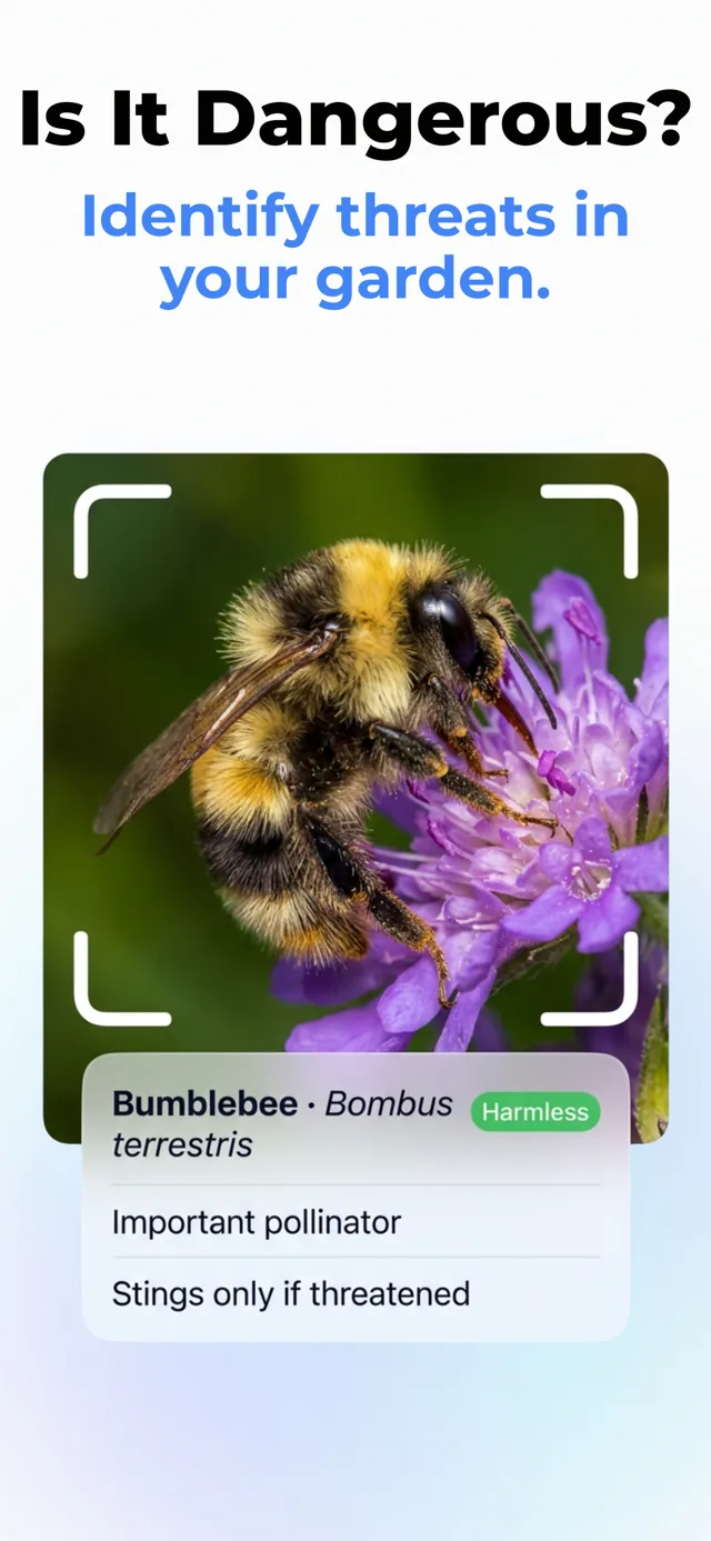 Recognize Plants, Animals, Dogs and Insects
